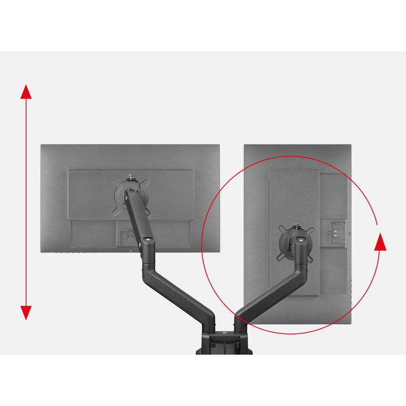 Universal Dual Monitor Arm DM4210 (Renewed)